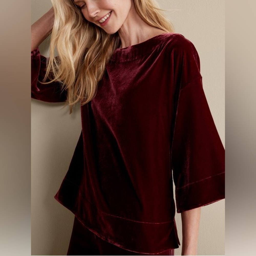 Soft Surroundings ‘Aria Velvet Top’ Red Boat Neck Boho Whimsigoth Petite Large